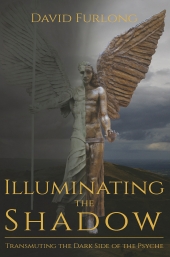 Book - Illuminating the Shadow